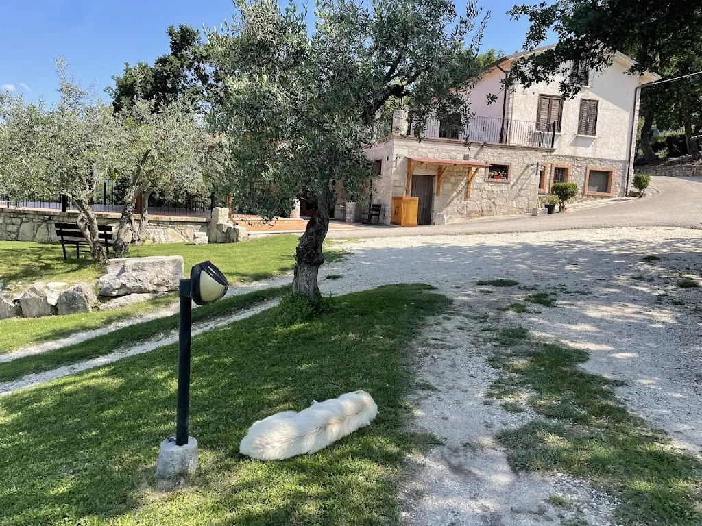 Il Prato degli Ulivi_Roccavivara_slider_image_3