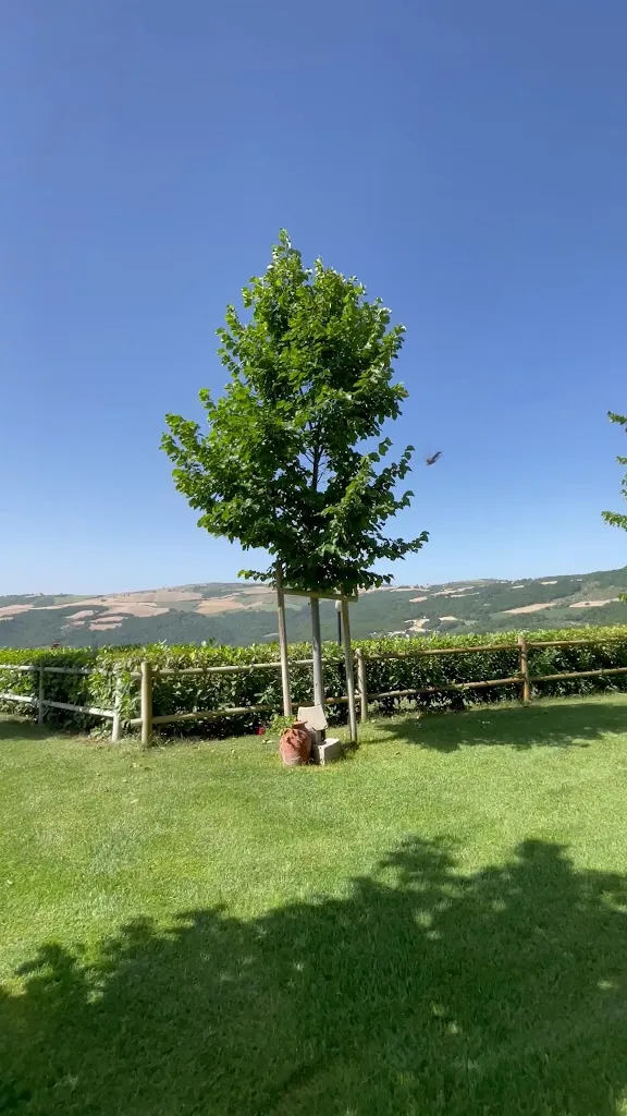 I Casali di Colle Monte - Agriturismo in Molise_San Giuliano di Puglia_slider_image_2