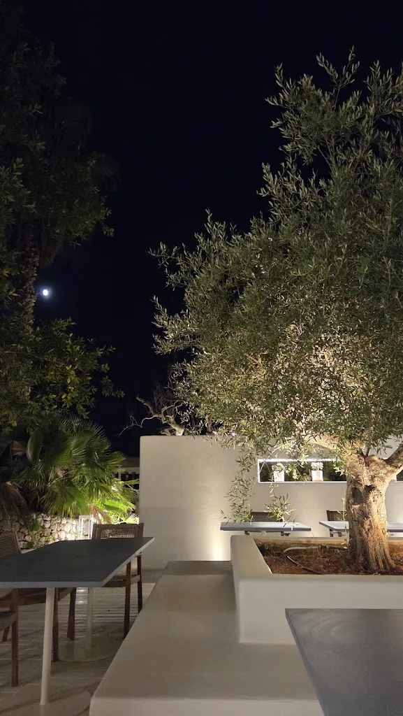 Vincent M._Origini Restaurant_Castrignano del Capo_review