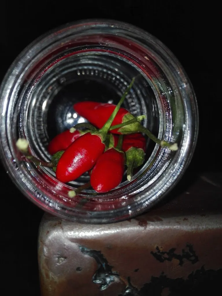 Menu_Coloccia Raffaele_Sant'Elia a Pianisi_image_4