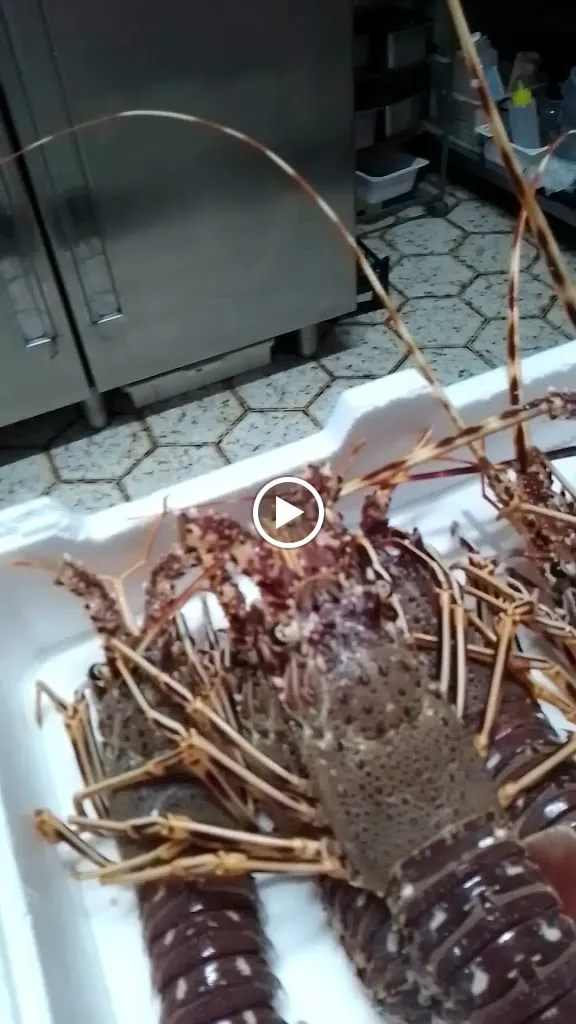 Ristorante del sud_Castrignano del Capo_slider_image_2