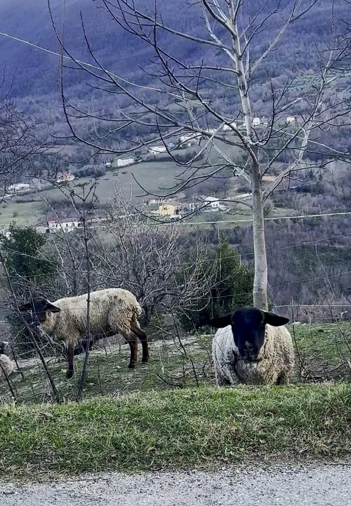 La Zampogna_Scapoli_slider_image_2