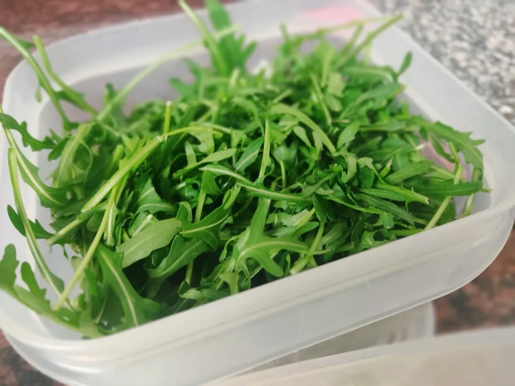 Menu_Pizzeria da ROMANO (pizza al taglio) Santa Croce di Magliano_Santa Croce di Magliano_image_2