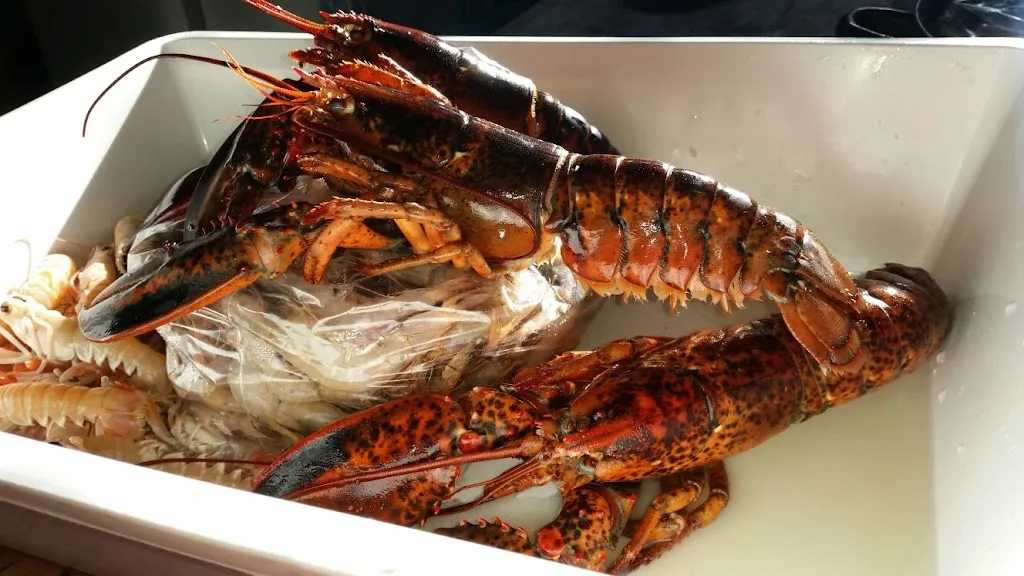 Menu_Masseria Cocco_Santa Croce di Magliano_image_7