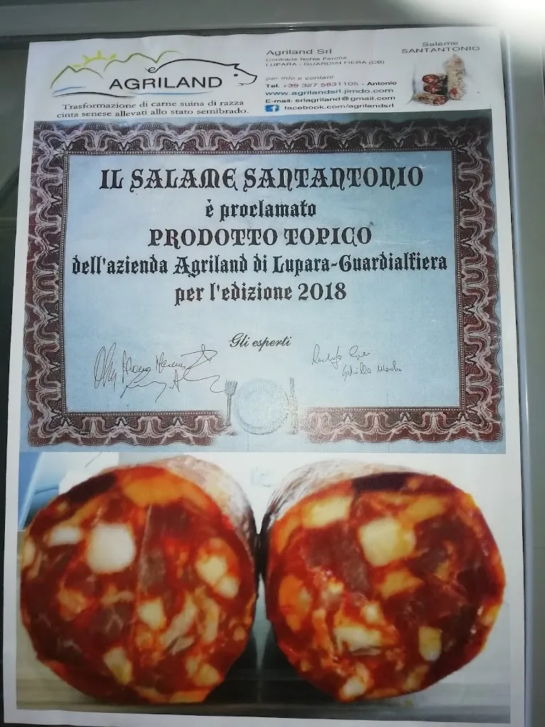 Menu_Bar caffetteria no problem_Santa Croce di Magliano_image_1