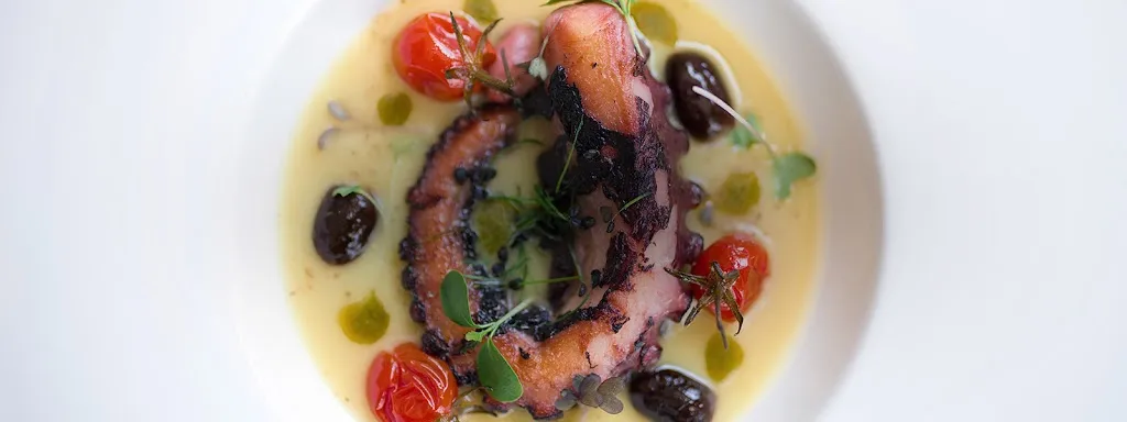 Menu_Ristorante Villa Fontana_Agliano_image_1