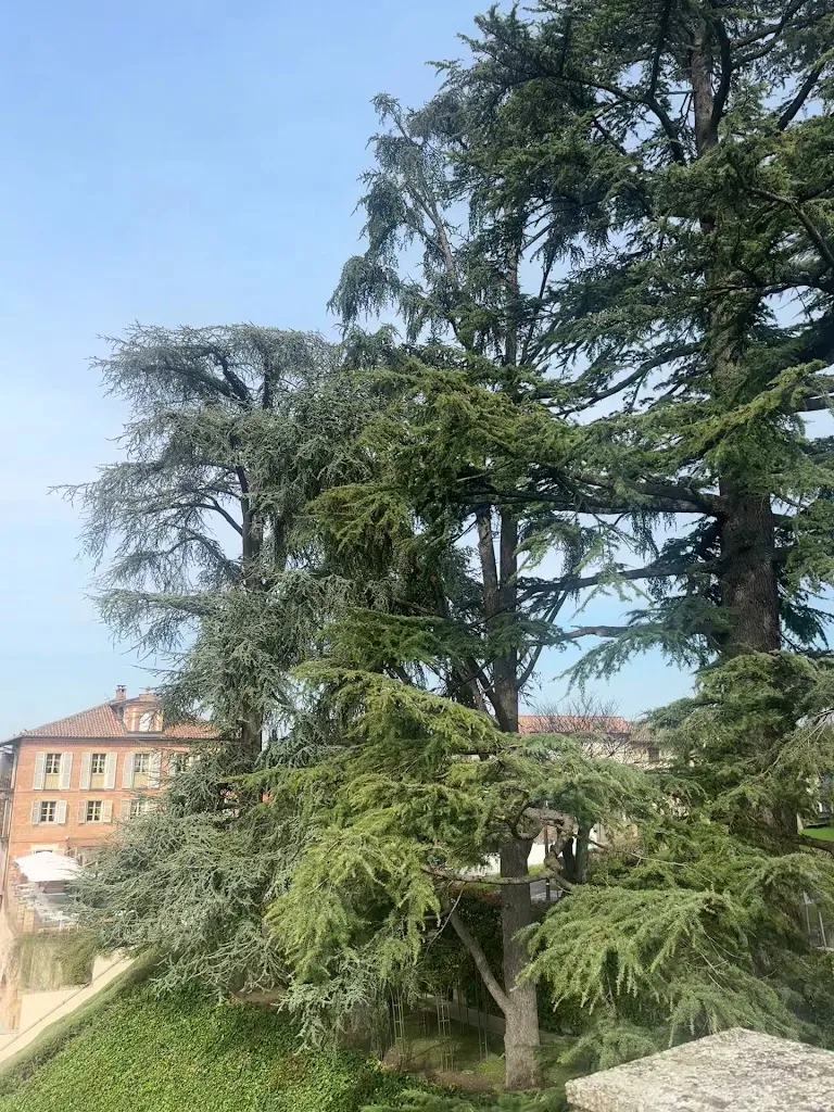 Merike Gardner_Villa Fontana Relais & Wellness Spa_Agliano_review