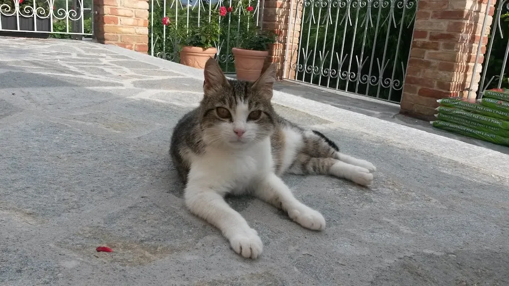 Silvia Castagnero restaurant in Agliano Terme