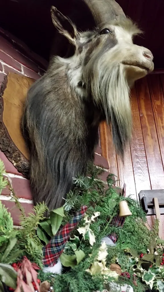 Bar Maronero_Ala di Stura_slider_image_2