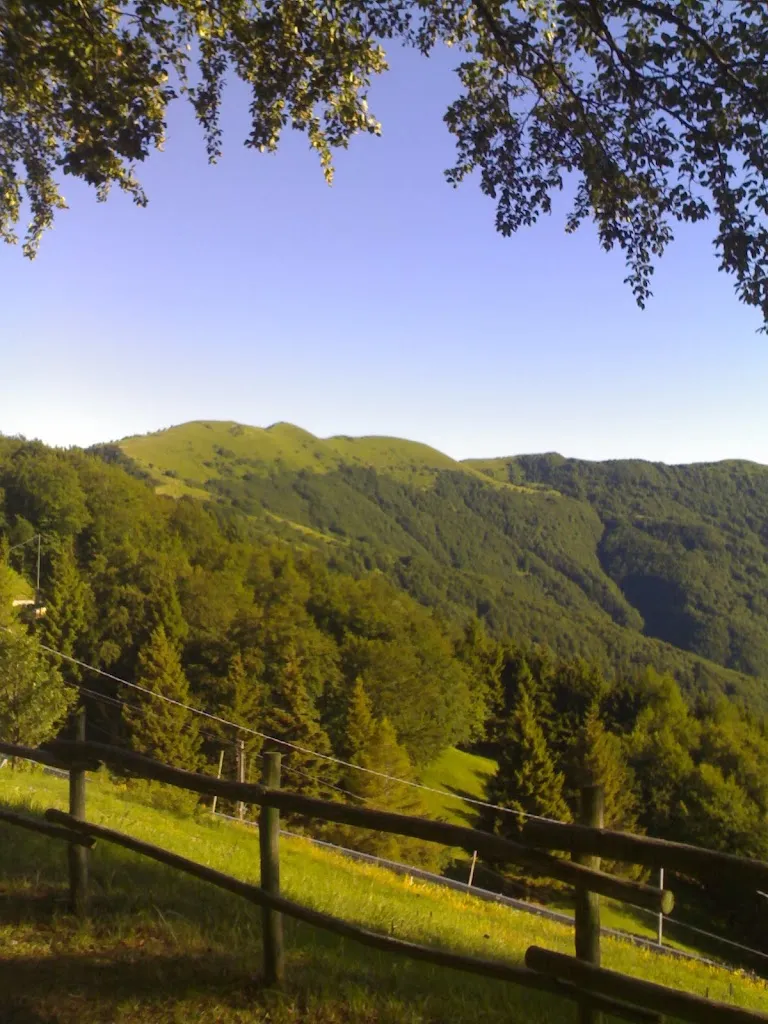 Ristorante Albergo Capanne di Cosola Sas di Callegari Fausto_Albera Ligure_slider_image_3