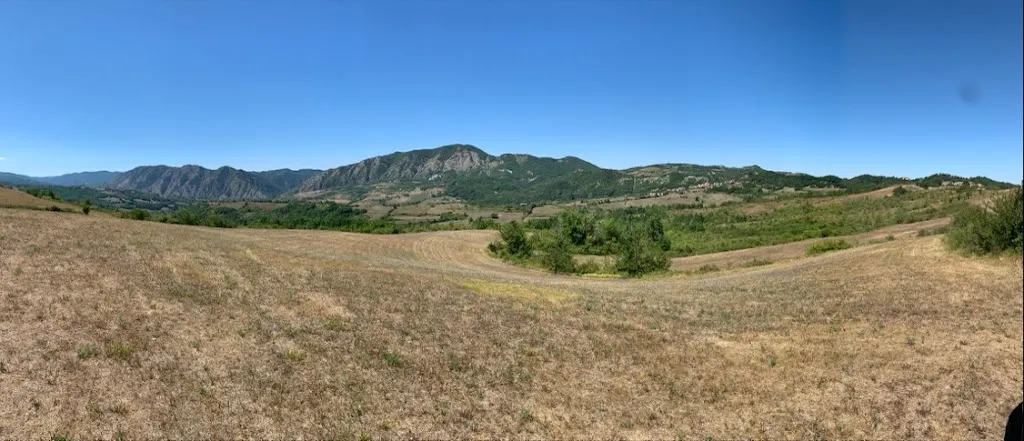 Wolfgang _Belvedere_Albera Ligure_review