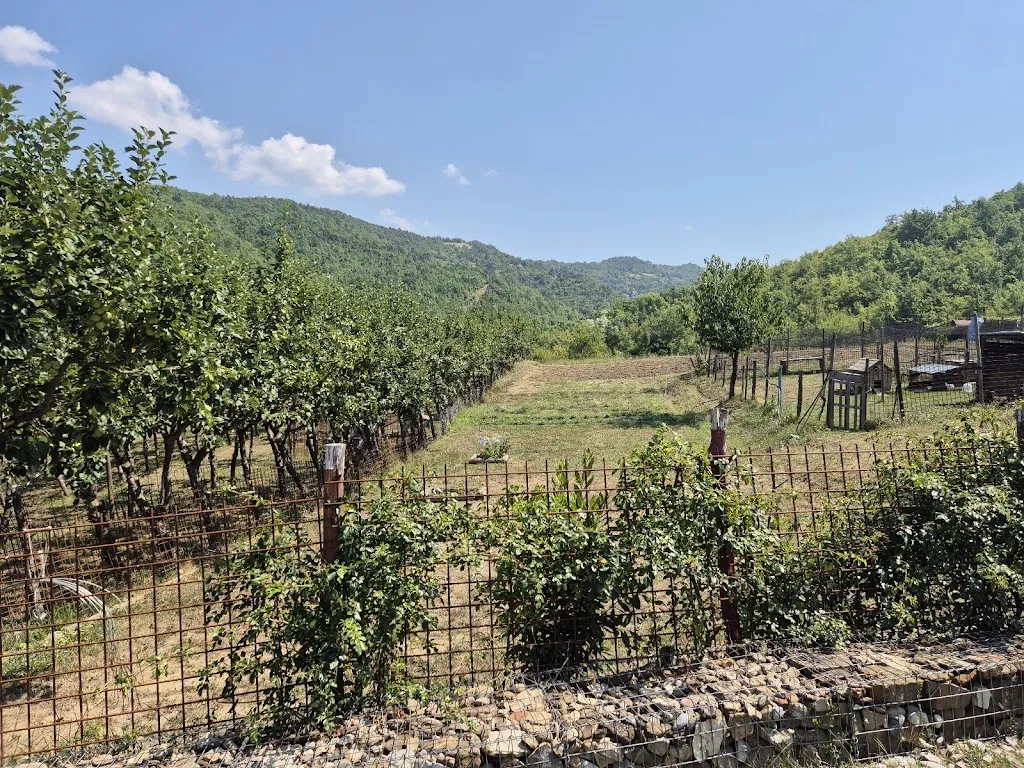 Maurizio Sergio Cambiaso_Agriturismo 