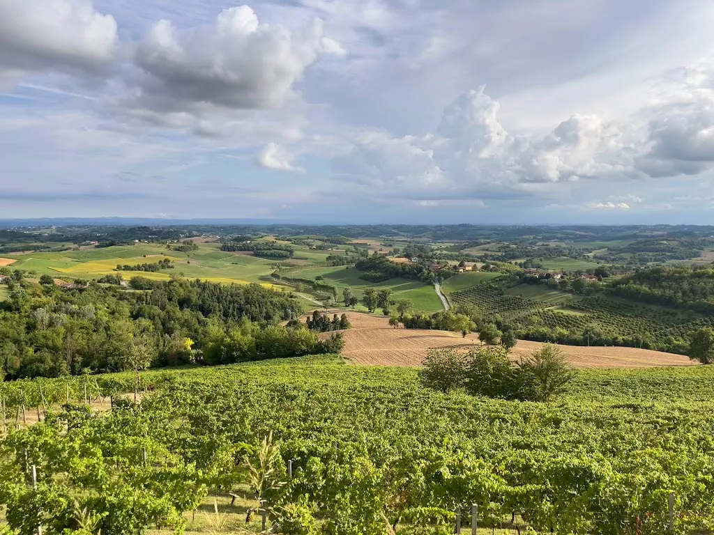 Azienda Agricola Crealto_Alfiano Natta_slider_image_3