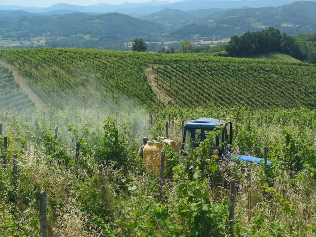 Cascina Marcantonio restaurant in Acqui Terme