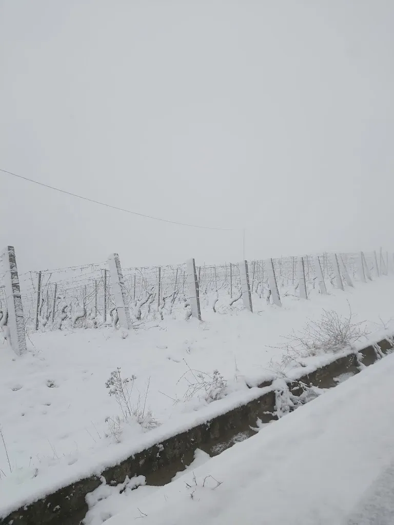 Pro loco di Ovrano - Acqui Terme_Acqui Terme_slider_image_3