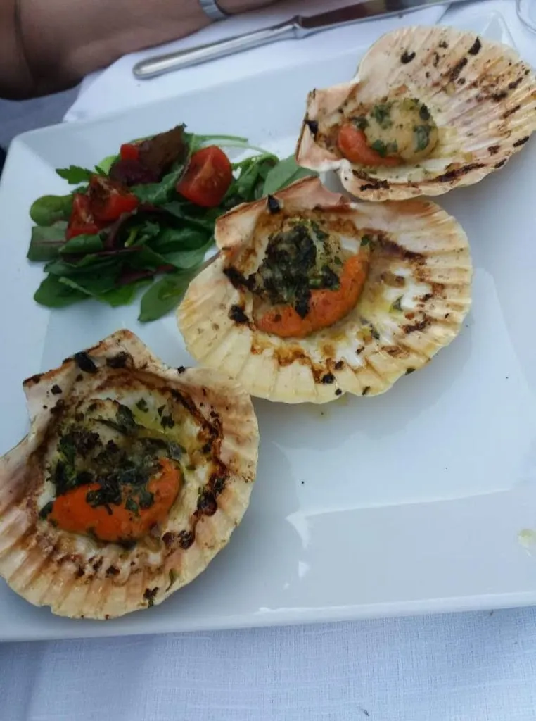 Menu_Ristorante Il Porfido_Alessandria_image_7