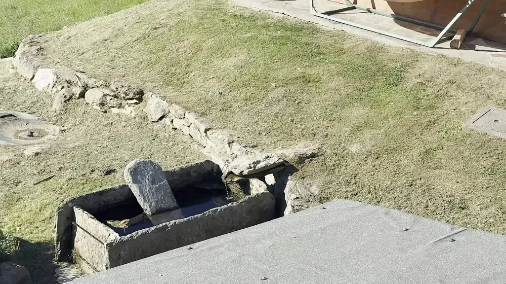 Mohammed Al Mahrooqy_Ca' Praudin_Alice Superiore_recensione