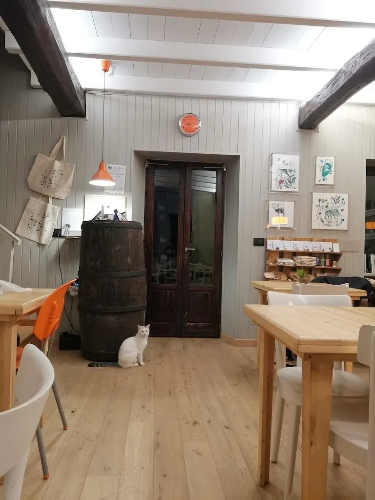 Rita Huang_KOIVU - SAUNA FINLANDESE E CUCINA NATURALE_Alice Superiore_recensione