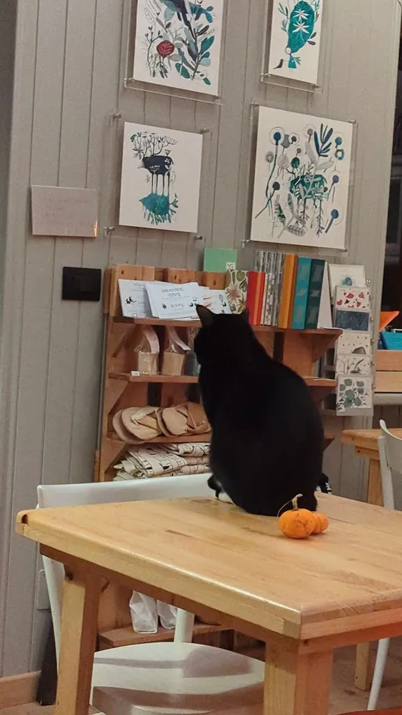 KOIVU - SAUNA FINLANDESE E CUCINA NATURALE_Alice Superiore_slider_image_2