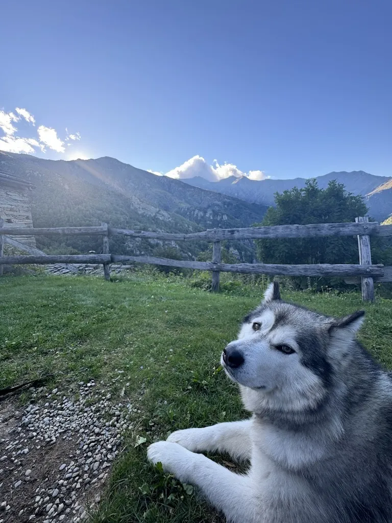 Biesmans Mathijs_Rifugio Barfè_Angrogna_recensione