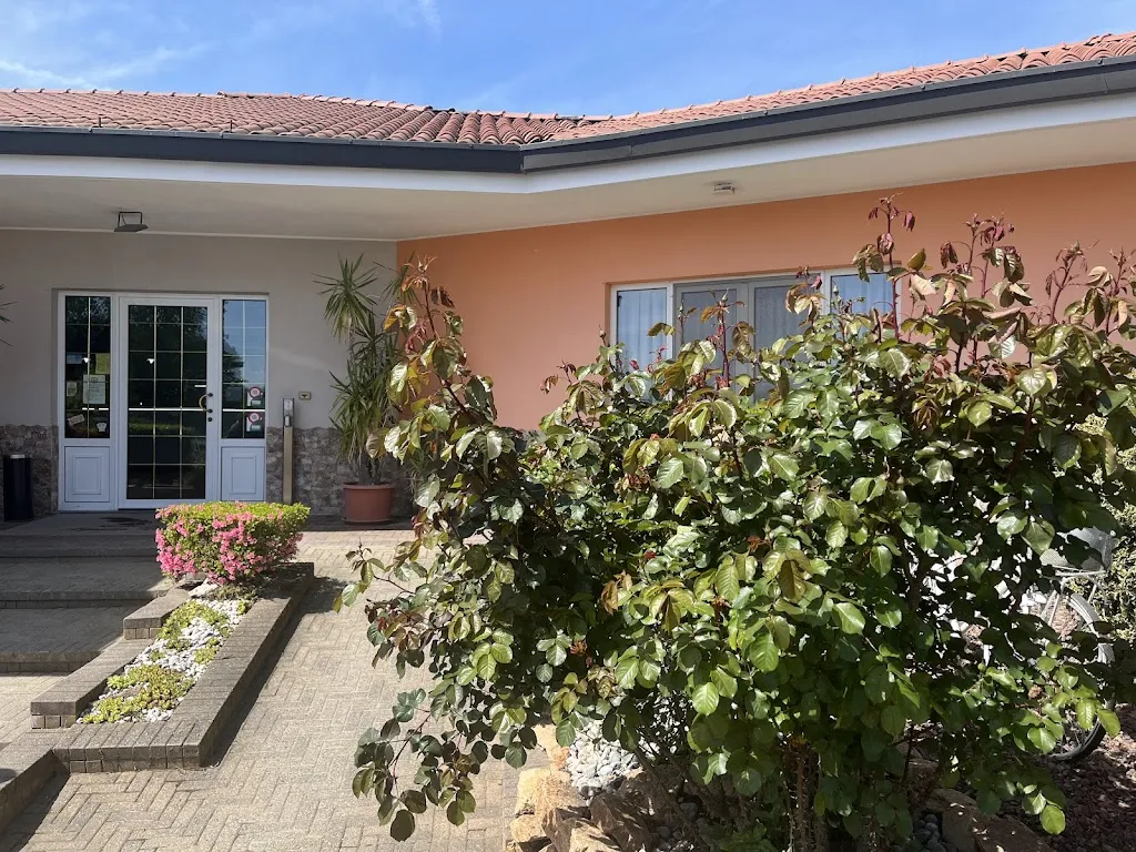 Vincenzo Platini_Aquila Nera_Arborio_review