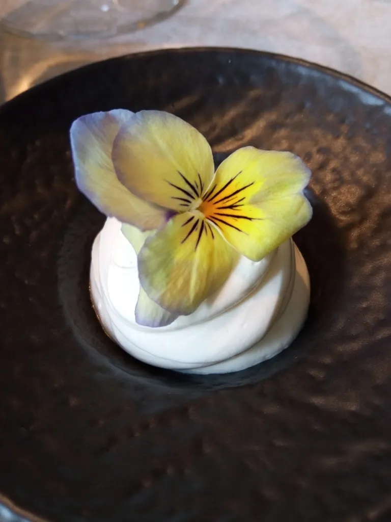 D & D from Miami_Ristorante Verum_Armeno_Bewertung