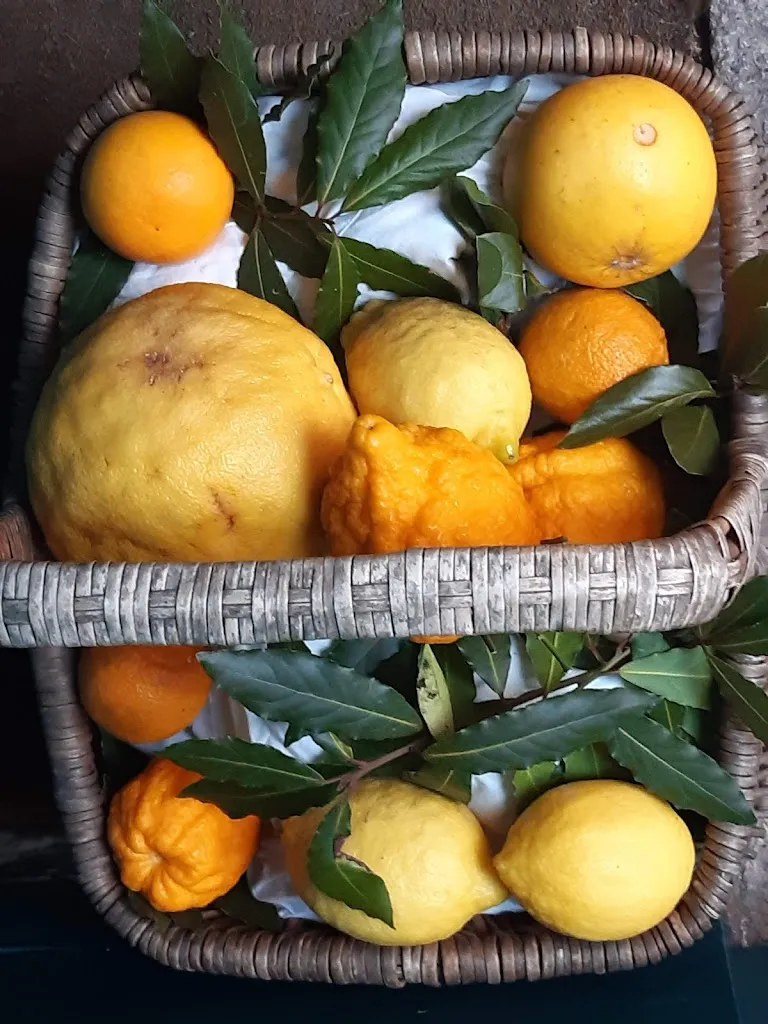 Menu_Cannero Riviera Soleluna_Aurano_image_6