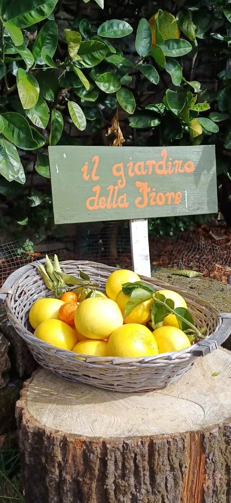 Menu_Cannero Riviera Soleluna_Aurano_image_9