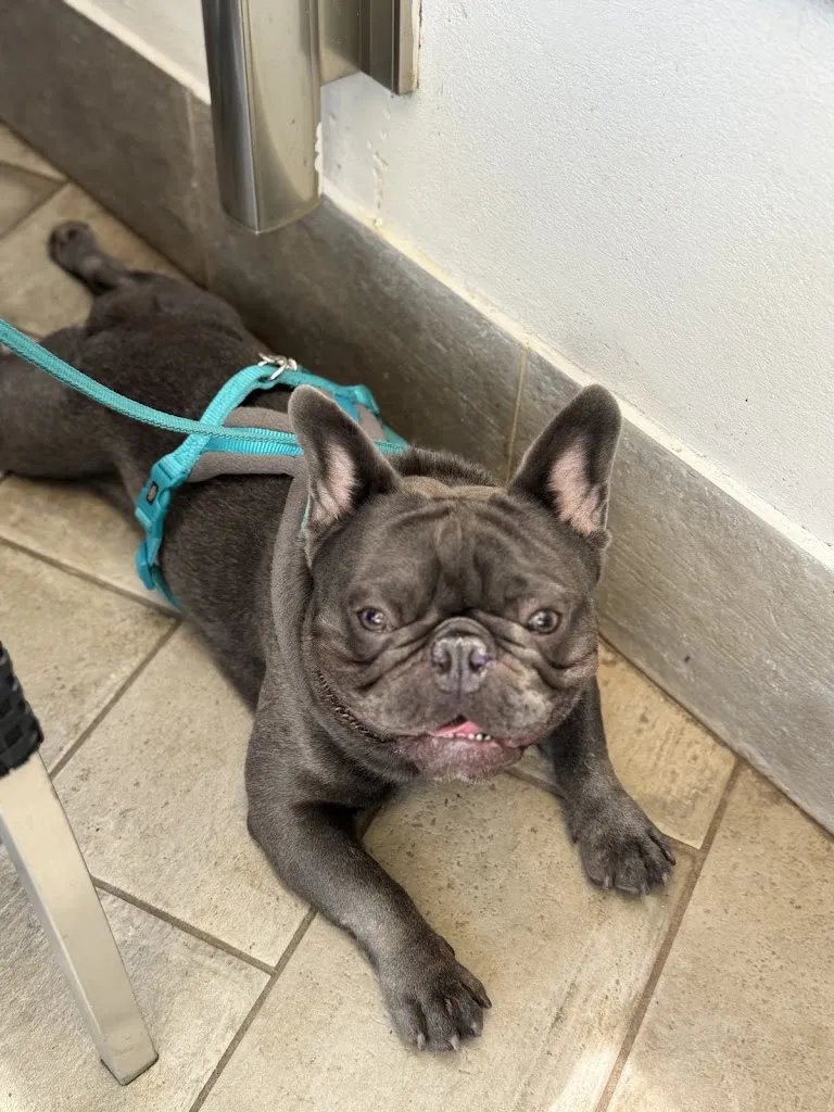 Hannes_Ristorante Lago Grande - Pub Bel Sugne’_Avigliana_review