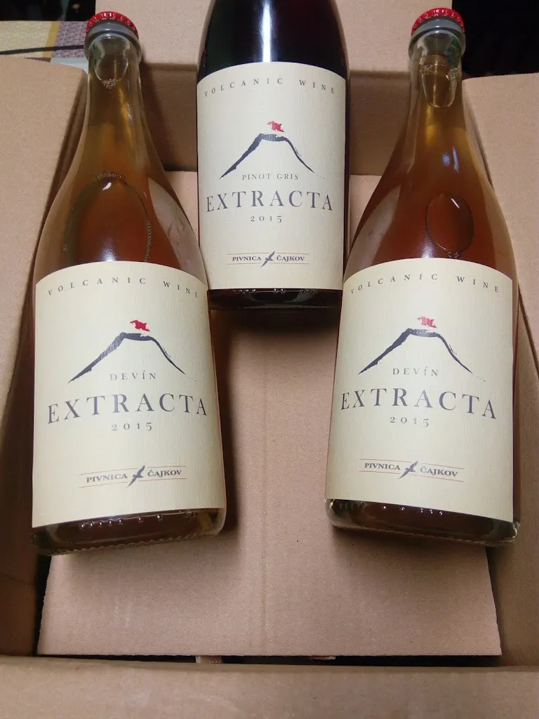 Pesecka Leanka_Ristorante San Michele_Avigliana_review