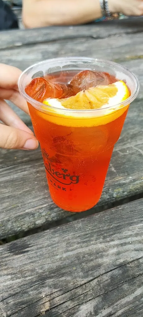 Menu_LaZanzara_Avigliana_immagine_6