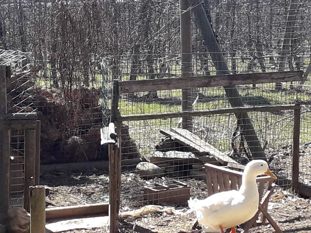 Locanda La Siia_Bagnolo Piemonte_slider_image_3