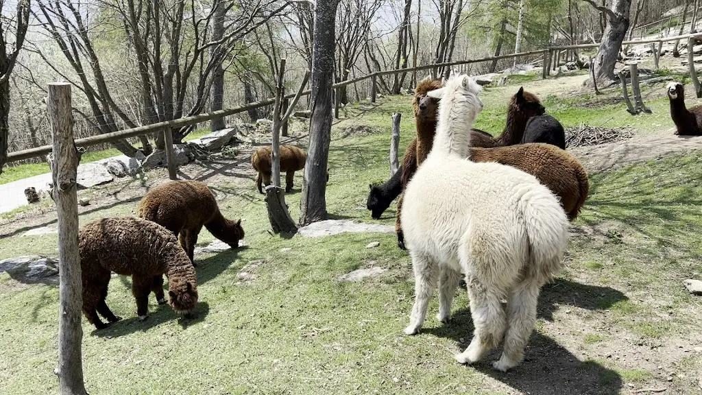 Agriturismo A Nostro Mizoun_Bagnolo Piemonte_slider_image_2