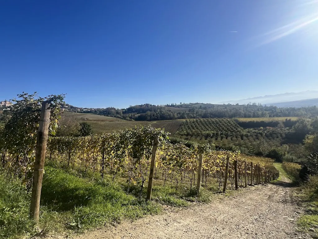 Matteo Nassuato_Il Banchetto_Battifollo_review