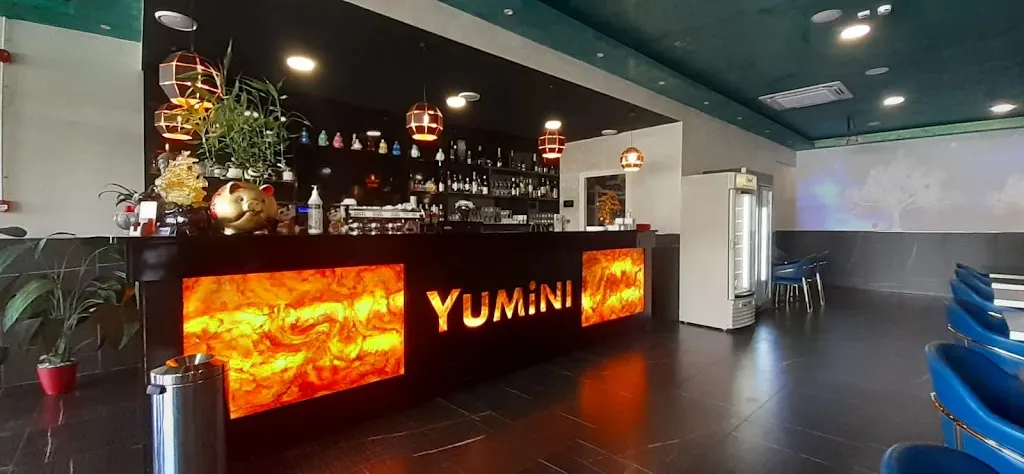 Samuele Caselli_YUMINI Sushi_Belforte Monferrato_review