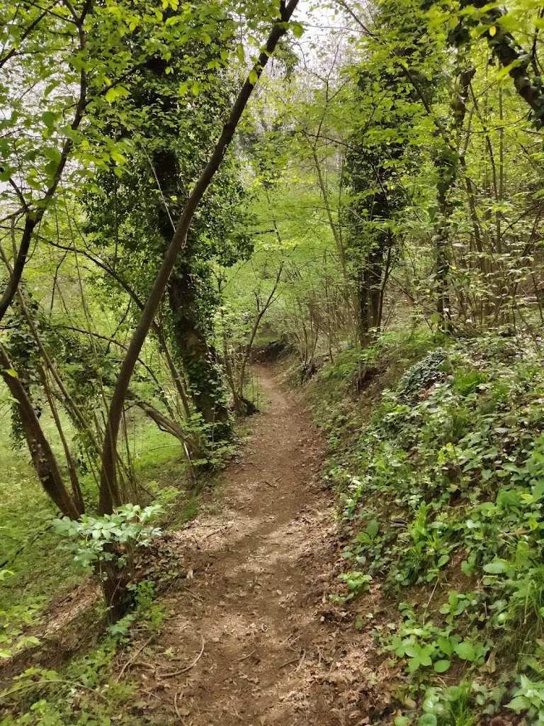 Mattia_Area attrezzata barbeque alla Magnesia_Bernezzo_review