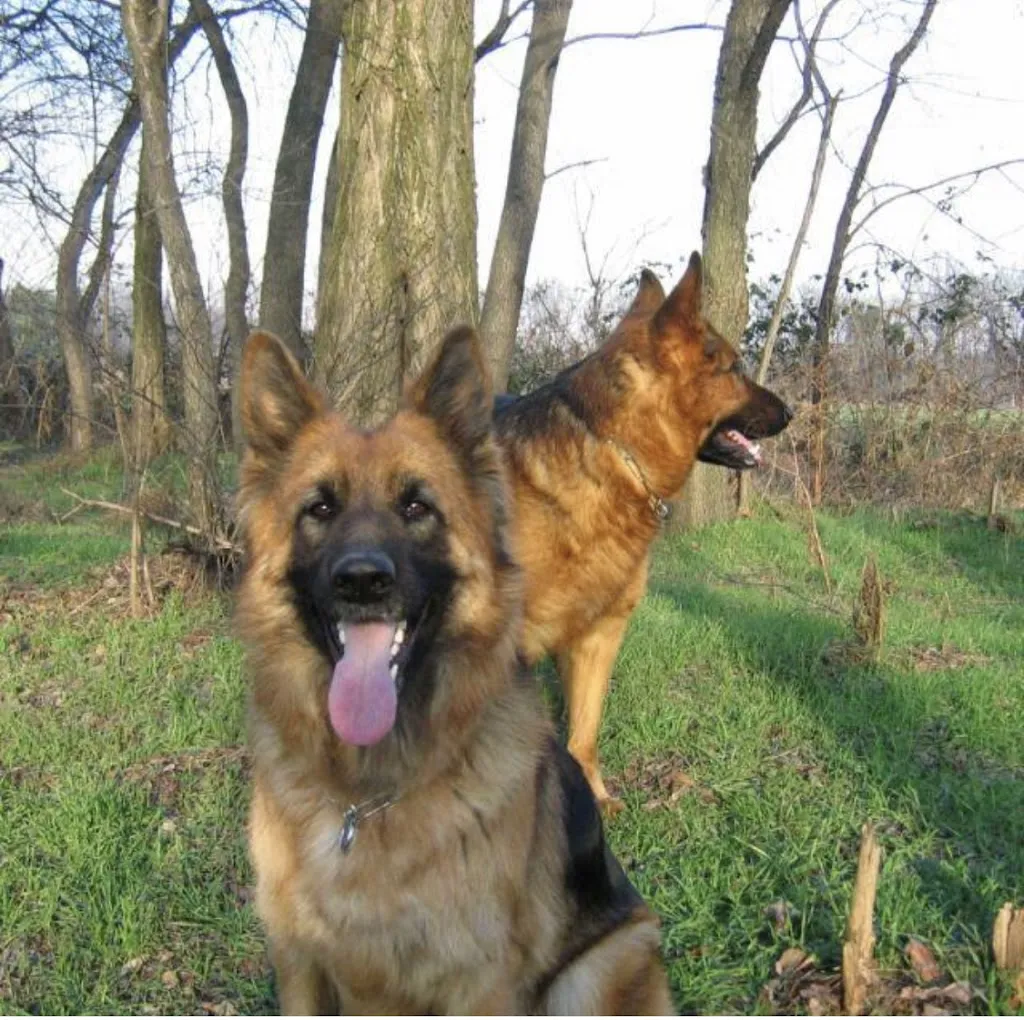 Daniela Desiree Vigorelli_Quadrifoglio_Biella_review