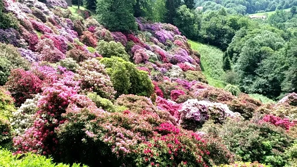 Quadrifoglio_Biella_slider_image_2