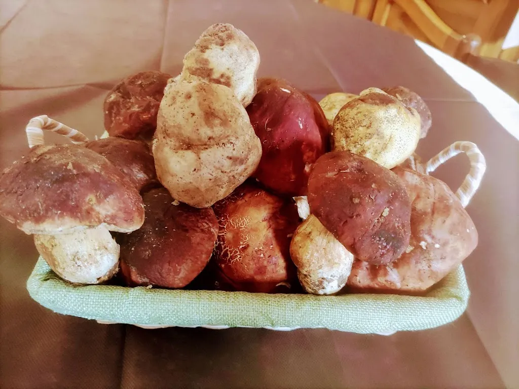 Menü_SOCIETÀ DI BORGIALLO LA ROCA BIANCA_Borgiallo_Bild_6