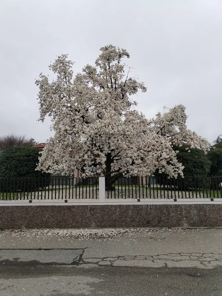 Bar San Bernardo_Borgolavezzaro_slider_image_2