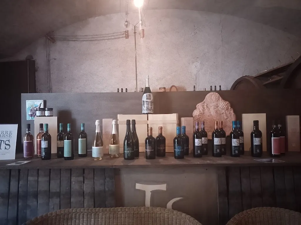 Maryam Mn_Cantina Terre Sparse Balmetto_Borgofranco d'Ivrea_recensione