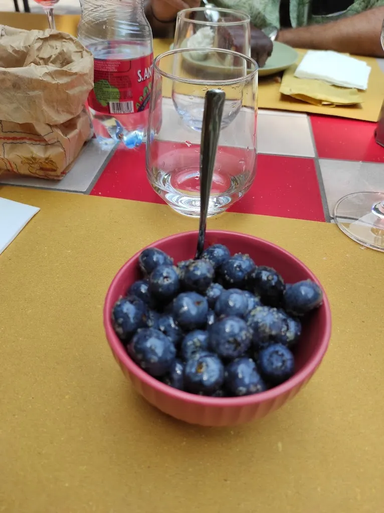 Anna Coda_Cantina Terre Sparse Balmetto_Borgofranco d'Ivrea_recensione