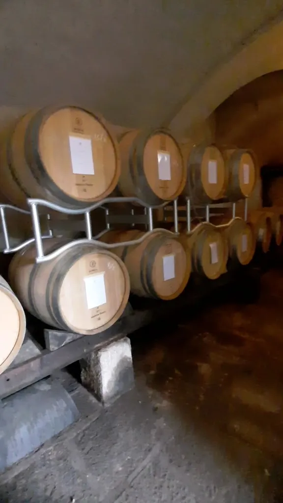 Cantina Terre Sparse Balmetto_Borgofranco d'Ivrea_slider_image_2