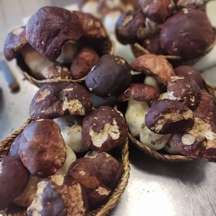 Menu_Ristorante Pizzeria Ai Navigli_Borgofranco d'Ivrea_image_3