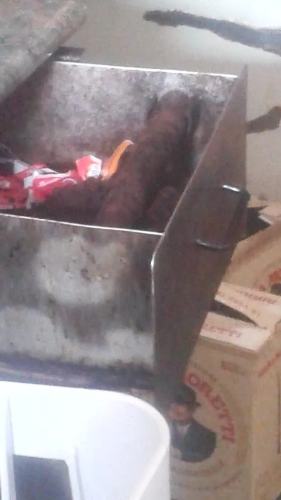 Fabio M_Osteria del Borgo_Borgoratto Alessandrino_review