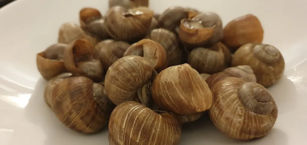 Menu_Antica Trattoria Gabri_Borgo San Dalmazzo_image_6