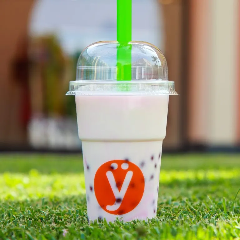 Menu_La Yogurteria Borgosesia_Borgosesia_image_7