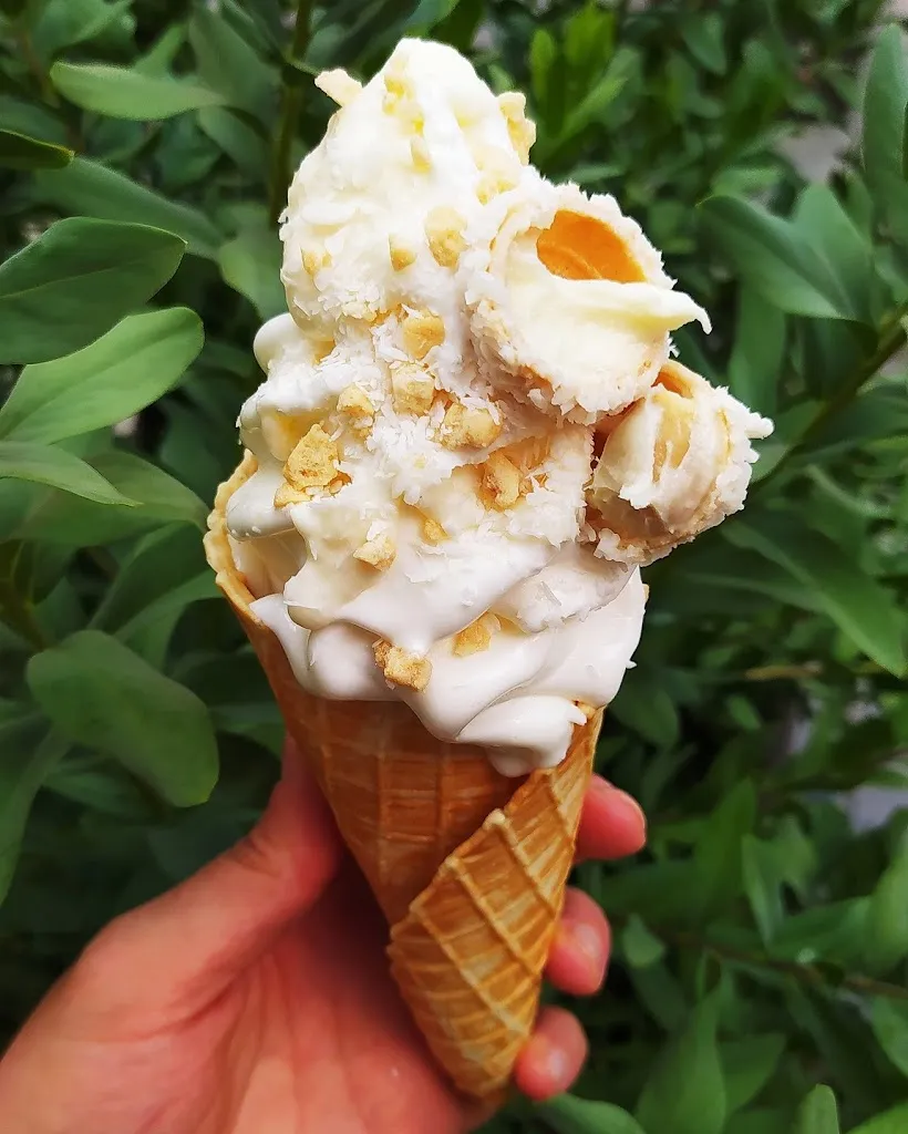 Menu_La Yogurteria Borgosesia_Borgosesia_image_8