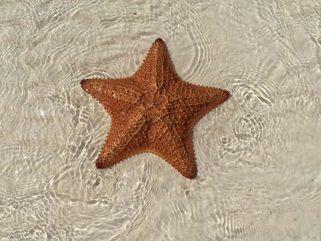 Ristorante La Dafne_Borgosesia_slider_image_2