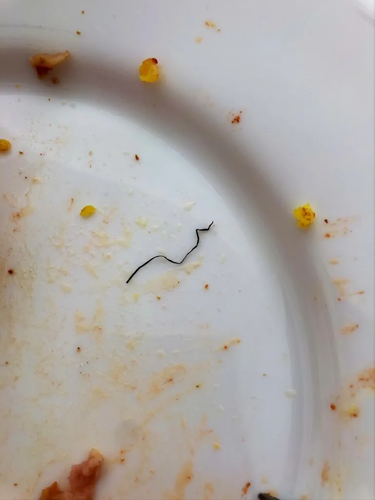 Menu_LA TANA DEL LUPO_Borgomanero_image_5